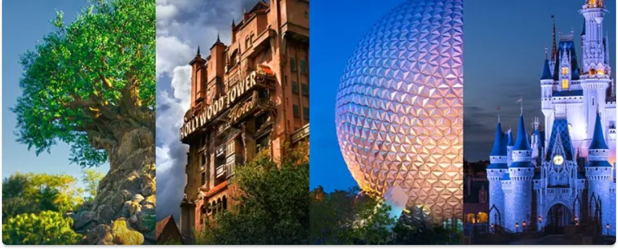 disney-place-picture